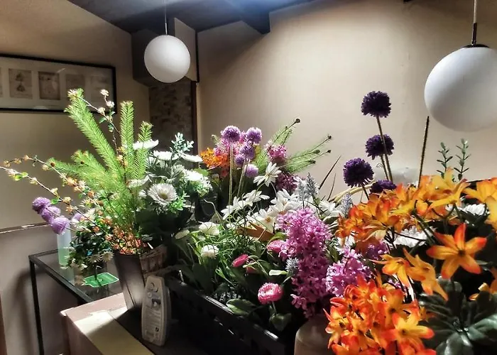 Casa Airas ゲストハウス